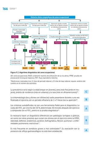 166 GEMA4.2
A
B
C
A
B
La prevalencia varía según la edad (mayor en jóvenes), sexo (más frecuente en mu-
jeres), ámbito de residencia (más en urbanos) y la raza (más en afroamericanos)34
.
La sintomatología (tos y disnea con sibilancias) suele presentarse durante o una vez
finalizado el ejercicio, con un periodo refractario de 2 a 3 horas tras su aparición35
.
Los síntomas autodefinidos no son una herramienta fiable para el diagnóstico. La
caída del FEV1
por encima del 10 %, determinada 30 minutos después del ejercicio
y comparada con el FEV1
previo es la prueba diagnóstica36
.
Es necesario hacer un diagnóstico diferencial con patologías laríngeas o glóticas,
así como con otros procesos que cursan con disnea con el ejercicio como la EPOC,
obesidad, defectos anatómicos, parálisis diafragmática, fibrosis pulmonar u enfer-
medades pulmonares restrictivas37
.
Es más frecuente en asmáticos graves o mal controlados38
. Su asociación con la
presencia de reflujo gastroesofágico no está bien establecida.
Exposición crónica a agente
de alto peso molecular
Exposición crónica a agente
de bajo peso molecular
Exposición aguda a niveles
tóxicos de un agente irritante
en individuos previamente
sanos
Exposición crónica a niveles
tóxicos de un agente irritante
en individuos previamente
sanos
Historia clínica sospechosa de asma ocupacional
Prueba cutánea/IgE
específica
¿Individuo trabajando?
¿Individuo trabajando? Prueba metacolina a 3 meses
Metacolina
PEF*+ esputo PPBE
Considerar más
investigaciones
Negativa Positiva
Negativa Positiva
Negativa Positiva
Medidas seriadas de PEF/FEV1
y/o test de metacolina
NegativaPositiva
NegativaPositiva
Negativa Positiva
No Sí
No AO No AO No AO No AOAO AO AO
AO
(RADS)
NoSí
AO: asma ocupacional; RADS: síndrome reactivo de disfunción de la vía aérea; PPBE: prueba de provocación bronquial específica; PEF: flujo
espiratorio máximo
*Mediciones realizadas tras 15 días de periodo laboral y 15 días de baja laboral; esputo: análisis del cambio en el número de eosinófilos
Figura 9.2.Algoritmo diagnóstico del asma ocupacional
AO: asma ocupacional; RADS: síndrome reactivo de disfunción de la vía aérea; PPBE: prueba de
provocación bronquial especíca; PEF: flujo espiratorio máximo.
*Mediciones realizadas tras 15 días de periodo laboral y 15 días de baja laboral; esputo: análisis del
cambio en el número de eosinólos
 
