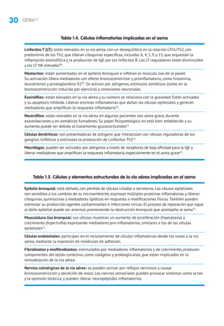 30 GEMA4.0
Tabla 1.4. Células inflamatorias implicadas en el asma
Linfocitos T (LT): están elevados en la vía aérea, con un desequilibrio en la relación LTh1/Th2, con
predominio de los Th2, que liberan citoquinas específicas, incluidas IL 4, 5, 9, y 13, que orquestan la
inflamación eosinofílica y la producción de IgE por los linfocitos B. Los LT reguladores están disminuidos
y los LT NK elevados48
.
Mastocitos: están aumentados en el epitelio bronquial e infiltran el músculo liso de la pared.
Su activación libera mediadores con efecto broncoconstrictor y proinflamatorio, como histamina,
leucotrienos y prostaglandina D249
. Se activan por alérgenos, estímulos osmóticos (como en la
broncoconstricción inducida por ejercicio) y conexiones neuronales.
Eosinófilos: están elevados en la vía aérea y su número se relaciona con la gravedad. Están activados
y su apoptosis inhibida. Liberan enzimas inflamatorias que dañan las células epiteliales y generan
mediadores que amplifican la respuesta inflamatoria50
.
Neutrófilos: están elevados en la vía aérea en algunos pacientes con asma grave, durante
exacerbaciones y en asmáticos fumadores. Su papel fisiopatológico no está bien establecido y su
aumento puede ser debido al tratamiento glucocorticoideo51
.
Células dendríticas: son presentadoras de antígeno que interactúan con células reguladoras de los
ganglios linfáticos y estimulan la producción de Linfocitos Th252
.
Macrófagos: pueden ser activados por alérgenos a través de receptores de baja afinidad para la IgE y
liberar mediadores que amplifican la respuesta inflamatoria, especialmente en el asma grave53
.
Tabla 1.5. Células y elementos estructurales de la vía aérea implicadas en el asma
Epitelio bronquial: está dañado, con pérdida de células ciliadas y secretoras. Las células epiteliales
son sensibles a los cambios de su microambiente, expresan múltiples proteínas inflamatorias y liberan
citoquinas, quimiocinas y mediadores lipídicos en respuesta a modificaciones físicas.También pueden
estimular su producción agentes contaminantes e infecciones víricas. El proceso de reparación que sigue
al daño epitelial puede ser anormal, promoviendo la obstrucción bronquial que acompaña al asma54
.
Musculatura lisa bronquial: sus células muestran un aumento de proliferación (hiperplasia) y
crecimiento (hipertrofia) expresando mediadores pro-inflamatorios, similares a los de las células
epiteliales55
.
Células endoteliales: participan en el reclutamiento de células inflamatorias desde los vasos a la vía
aérea, mediante la expresión de moléculas de adhesión.
Fibroblastos y miofibroblastos: estimulados por mediadores inflamatorios y de crecimiento, producen
componentes del tejido conectivo, como colágeno y proteoglicanos, que están implicados en la
remodelación de la vía aérea.
Nervios colinérgicos de la vía aérea: se pueden activar por reflejos nerviosos y causar
broncoconstricción y secreción de moco. Los nervios sensoriales pueden provocar síntomas como la tos
y la opresión torácica, y pueden liberar neuropéptidos inflamatorios.
 