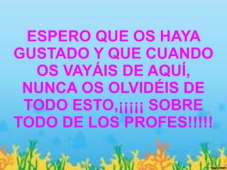 ESPERO QUE OS HAYA
GUSTADO Y QUE CUANDO
  OS VAYÁIS DE AQUÍ,
 NUNCA OS OLVIDÉIS DE
 TODO ESTO,¡¡¡¡¡ SOBRE
TODO DE LOS PROFES!!!!!
 