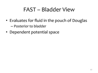 Fast Bladder GEMC - Medical Student - Trauma - Initial Assessment and Management of ...