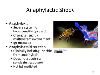 e27=-:87()(",-.(/"
B  e27=-:87G3+"

B  ,'*'5'"+:+<'63("
-:='5+'2+3)*3<:"5'7().2"
B  >-757(<'53g'D"%:"
6F8)+:+<'6"32*.8*'6'2<""
B  C;V"6'D37<'D"

B  e27=-:87(<.3D"5'7().2"

B  >8323(788:"32D3+)2;F3+-7%8'"
@5.6"727=-:87G3+"
B  0.'+"2.<"5'EF35'"7"
+'2+3)g32;"'G=.+F5'"

Justin Beck, Flickr

B  4.<"C;V"6'D37<'D"

AT"

 