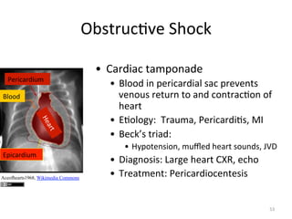 $%+<5F()*'",-.(/"
9'53(75D3F6"
K8..D"

V=3(75D3F6"
Aceofhearts1968, Wikimedia Commons

B  >75D37("<76=.27D'"
B  K8..D"32"='53(75D378"+7("=5'*'2<+"
*'2.F+"5'<F52"<."72D"(.2<57().2".@"
-'75<"
B  V).8.;:b""?57F67R"9'53(75D3)+R"^C"
B  K'(/q+"<537Db""
B  Q:=.<'2+3.2R"6Fz'D"-'75<"+.F2D+R"hN0"

B  037;2.+3+b"i75;'"-'75<">MHR"'(-."
B  ?5'7<6'2<b"9'53(75D3.('2<'+3+"

PA"

 