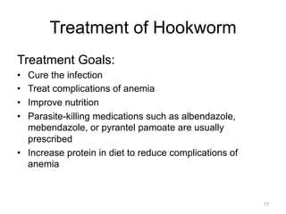 Treatment of Hookworm
Treatment Goals:
• 
• 
• 
• 

Cure the infection
Treat complications of anemia
Improve nutrition
Parasite-killing medications such as albendazole,
mebendazole, or pyrantel pamoate are usually
prescribed
•  Increase protein in diet to reduce complications of
anemia

17

 
