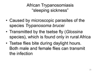 African Trypanosomiasis
“sleeping sickness”
•  Caused by microscopic parasites of the
species Trypanosoma brucei
•  Transmitted by the tsetse fly (Glossina
species), which is found only in rural Africa
•  Tsetse flies bite during daylight hours.
Both male and female flies can transmit
the infection

20

 
