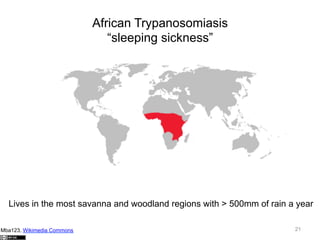 African Trypanosomiasis
“sleeping sickness”

Lives in the most savanna and woodland regions with > 500mm of rain a year
Mba123, Wikimedia Commons

21

 