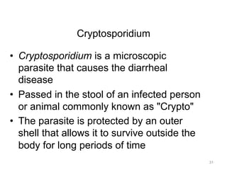 Cryptosporidium
•  Cryptosporidium is a microscopic
parasite that causes the diarrheal
disease
•  Passed in the stool of an infected person
or animal commonly known as "Crypto"
•  The parasite is protected by an outer
shell that allows it to survive outside the
body for long periods of time
31

 