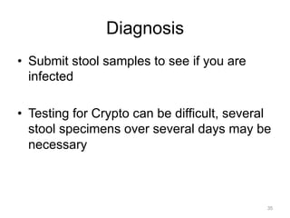 Diagnosis
•  Submit stool samples to see if you are
infected
•  Testing for Crypto can be difficult, several
stool specimens over several days may be
necessary

35

 