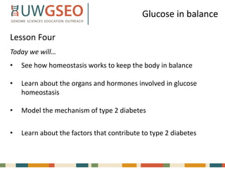 Glucose in balance
Lesson Four
Today we will…
• See how homeostasis works to keep the body in balance
• Learn about the organs and hormones involved in glucose
homeostasis
• Model the mechanism of type 2 diabetes
• Learn about the factors that contribute to type 2 diabetes
 