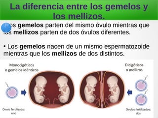 La diferencia entre los gemelos y
los mellizos.
●
Los gemelos parten del mismo óvulo mientras que
los mellizos parten de d...