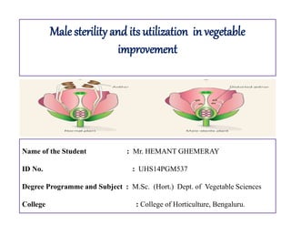 Male sterility and its utilization in vegetable
improvement
Name of the Student : Mr. HEMANT GHEMERAY
ID No. : UHS14PGM537
Degree Programme and Subject : M.Sc. (Hort.) Dept. of Vegetable Sciences
College : College of Horticulture, Bengaluru.
 