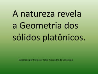 A natureza revela a Geometria dos sólidos platônicos. Elaborado por Professor Fábio Alexandre da Conceição. 