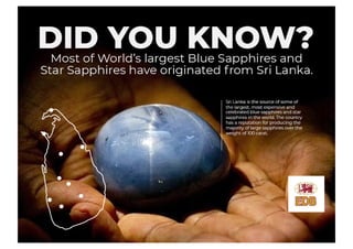 Celebrated Blue Sapphires from Sri Lanka