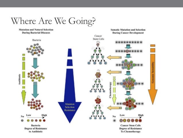 Dissertation meaning image