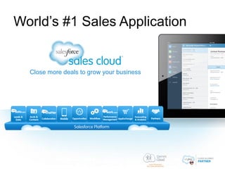 Gemini Cloud - Salesforce.com