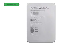 AI Studio
Endpoints
Images
Structured Data
 