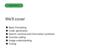 We’ll cover
● Basic Prompting
● Code generation
● Search, retrieval and information synthesis
● Function calling
● Image understanding
● Tuning
Usage Patterns
 