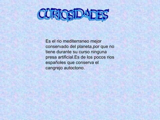 Es el rio mediterraneo mejor
conservado del planeta,por que no
tiene durante su curso ninguna
presa artificial.Es de los pocos rios
españoles que conserva el
cangrejo autoctono.
 