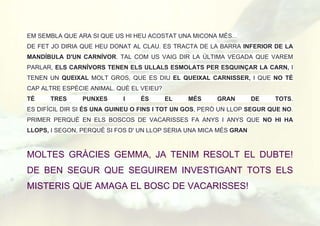 EM SEMBLA QUE ARA SI QUE US HI HEU ACOSTAT UNA MICONA MÉS...
DE FET JO DIRIA QUE HEU DONAT AL CLAU. ES TRACTA DE LA BARRA INFERIOR DE LA
MANDÍBULA D'UN CARNÍVOR. TAL COM US VAIG DIR LA ÚLTIMA VEGADA QUE VAREM
PARLAR, ELS CARNÍVORS TENEN ELS ULLALS ESMOLATS PER ESQUINÇAR LA CARN, I
TENEN UN QUEIXAL MOLT GROS, QUE ES DIU EL QUEIXAL CARNISSER, I QUE NO TÉ
CAP ALTRE ESPÈCIE ANIMAL. QUÈ EL VEIEU?
TÉ TRES PUNXES I ÉS EL MÉS GRAN DE TOTS.
ES DIFÍCIL DIR SI ÉS UNA GUINEU O FINS I TOT UN GOS, PERÒ UN LLOP SEGUR QUE NO.
PRIMER PERQUÈ EN ELS BOSCOS DE VACARISSES FA ANYS I ANYS QUE NO HI HA
LLOPS, I SEGON, PERQUÈ SI FOS D' UN LLOP SERIA UNA MICA MÉS GRAN
MOLTES GRÀCIES GEMMA, JA TENIM RESOLT EL DUBTE!
DE BEN SEGUR QUE SEGUIREM INVESTIGANT TOTS ELS
MISTERIS QUE AMAGA EL BOSC DE VACARISSES!
 
