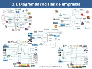 Examen Profesional. Tesis de Licenciatura 17
Diciembre 2012
13
1.1 Diagramas sociales de empresas
Dra. Gemma Cervantes , REMEI, UG, México
 