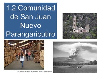 1.2 Comunidad
de San Juan
Nuevo
Parangaricutiro
Dra. Gemma Cervantes, MC. Elizabeth Turcott , REMEI, México
 