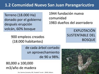 900 empleos creados
(18.000 habitantes)
1.2 Comunidad Nuevo San Juan Parangaricutiro
EXPLOTACIÓN
SUSTENTABLE DEL
BOSQUE
de cada árbol cortado
un aprovechamiento
de 90 a 98%.
Terreno (18.000 Ha)
donado por el gobierno
después erupción
volcán, 60% bosque
1944 fundación nueva
comunidad
1983 dueños del aserradero
80,000 a 100,000
m3/año de madera
Dra. Gemma Cervantes, MC. Elizabeth Turcott , REMEI, México
 