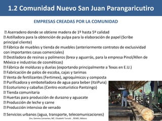 EMPRESAS CREADAS POR LA COMUNIDAD
Aserradero donde se obtiene madera de 1º hasta 5º calidad
Astilladora para la obtención de pulpa para la elaboración de papel (Scribe
principal cliente)
Fábrica de muebles y tienda de muebles (anteriormente contratos de exclusividad
con importantes casas comerciales)
Destiladora de resinas y polímeros (brea y aguarrás, para la empresa Pinol/Allen de
México e industrias de cosméticos)
Fábrica de molduras y duelas (exportando principalmente a Texas en E.U.)
Fabricación de palos de escoba, cajas y tarimas
Venta de fertilizantes (Fertimex), agroquímicos y composta
Purificadora y embotelladora de agua para beber (ItziPura)
Ecoturismo y cabañas (Centro ecoturístico Pantzingo)
Tienda comunitaria
Huertas para producción de durazno y aguacate
Producción de leche y carne
Producción intensiva de venado
Servicios urbanos (agua, transporte, telecomunicaciones)
1.2 Comunidad Nuevo San Juan Parangaricutiro
Dra. Gemma Cervantes, MC. Elizabeth Turcott , REMEI, México
 