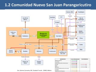 1.2 Comunidad Nuevo San Juan Parangaricutiro
Dra. Gemma Cervantes , REMEI, UG
Dra. Gemma Cervantes, MC. Elizabeth Turcott , REMEI, México
 