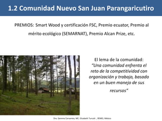 1.2 Comunidad Nuevo San Juan Parangaricutiro
PREMIOS: Smart Wood y certificación FSC, Premio ecuator, Premio al
mérito ecológico (SEMARNAT), Premio Alcan Prize, etc.
El lema de la comunidad:
“Una comunidad enfrenta el
reto de la competitividad con
organización y trabajo, basado
en un buen manejo de sus
recursos”
Dra. Gemma Cervantes, MC. Elizabeth Turcott , REMEI, México
 