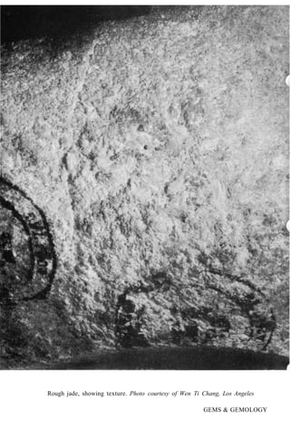 Rough jade, showing texture. Photo courtesy of Wen Ti Chang, Los Angeles
GEMS & GEMOLOGY
 