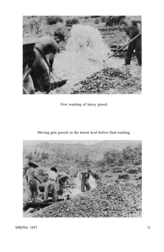 First washing of heavy gravel.
Moving gem gravels to the lowest level before final washing.
SPRING 1957 11
 