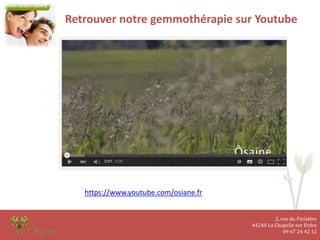 2, rue du Finistère
44240 La Chapelle sur Erdre
09 67 24 42 12
Retrouver notre gemmothérapie sur Youtube
https://www.youtube.com/osiane.fr
 