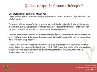 2, rue du Finistère
44240 La Chapelle sur Erdre
09 67 24 42 12
Qu’est-ce-que la Gemmothérapie?
Une phytothérapie connue au Moyen-Age
La gemmothérapie est une médicine par les plantes au même titre que la phytothérapie dont
elle fait partie.
En gemmothérapie, nous n'utilisons pas une partie de la plante (feuille, fruits, aubier, racine)
mais les bourgeons, radicelles ou jeunes pousses. Ces tissus embryonnaires sont frais et non
congelés de manière à apporter la puissance de leurs composants.
L'origine de la gemmothérapie nous vient du Moyen-Âge où on recherchait déjà à extraire les
actifs des bourgeons. Notamment, le bourgeon de sapin était alors utilisé dans la composition
de tisanes et de sirop pectoral.
Mais il faudra attendre le débuts des années 1970 pour que le Docteur Paul Henri, médecin
belge, réalise une étude sur l'utilisation des cellules fraîches embryonnaires d'origine végétale
et donne à cette discipline le nom de "phytoembryothérapie". Plus tard, Max Tetau la
renommera gemmothérapie.
 