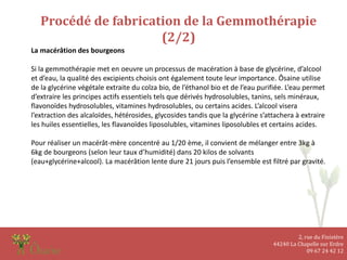 2, rue du Finistère
44240 La Chapelle sur Erdre
09 67 24 42 12
Procédé de fabrication de la Gemmothérapie
(2/2)
La macérâtion des bourgeons
Si la gemmothérapie met en oeuvre un processus de macération à base de glycérine, d’alcool
et d’eau, la qualité des excipients choisis ont également toute leur importance. Ôsaine utilise
de la glycérine végétale extraite du colza bio, de l’éthanol bio et de l’eau purifiée. L’eau permet
d’extraire les principes actifs essentiels tels que dérivés hydrosolubles, tanins, sels minéraux,
flavonoïdes hydrosolubles, vitamines hydrosolubles, ou certains acides. L’alcool visera
l’extraction des alcaloïdes, hétérosides, glycosides tandis que la glycérine s’attachera à extraire
les huiles essentielles, les flavanoïdes liposolubles, vitamines liposolubles et certains acides.
Pour réaliser un macérât-mère concentré au 1/20 ème, il convient de mélanger entre 3kg à
6kg de bourgeons (selon leur taux d’humidité) dans 20 kilos de solvants
(eau+glycérine+alcool). La macérâtion lente dure 21 jours puis l’ensemble est filtré par gravité.
 