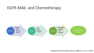 EGFR-MAb and Chemotherapy
•blocks
EGFR
nuclear
import
EGFR Mab
•DNA
Repair
enzymeInhibits
•Oxaliplatin
induced
DNA
damage
Augments
EGFR
Mab+Chemotherapy
Synergism
Mahtani R.The Oncologist January 2008 vol. 13 no. 1 39-50
 