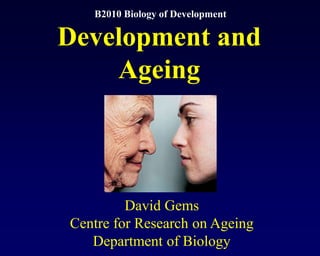 David Gems
Centre for Research on Ageing
Department of Biology
Development and
Ageing
B2010 Biology of Development
 