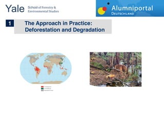 Yale 	
  School	
  of	
  Forestry	
  &	
  
         Environmental	
  Studies	
  


	
  	
  1 The Approach in Practice:
       Deforestation and Degradation
 