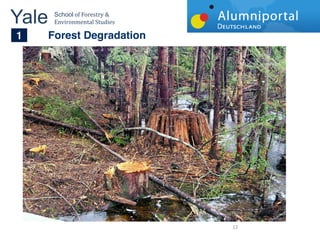 Yale 	
     School	
  of	
  Forestry	
  &	
  
            Environmental	
  Studies	
  


	
  	
  
     1   Forest Degradation




  51,1%  




                                                12  
 