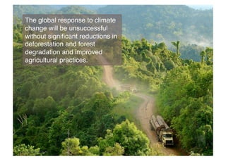The global response to climate
      change will be unsuccessful
      without signiﬁcant reductions in
      deforestation and forest
      degradation and improved
      agricultural practices.!




© Jan van der Ploeg / CIFOR!
 