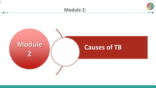1
1
1
Causes of TB
Module 2:
 