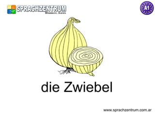 die Zwiebel www.sprachzentrum.com.ar 