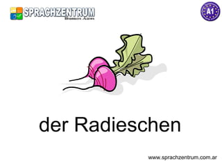 der Radieschen www.sprachzentrum.com.ar 