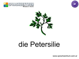 die Petersilie www.sprachzentrum.com.ar 