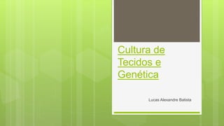 Cultura de
Tecidos e
Genética
Lucas Alexandre Batista
 