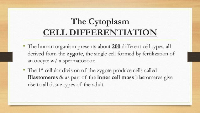 Gen. histology (cytoplasm) 2