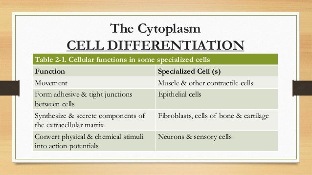 Gen. histology (cytoplasm) 2