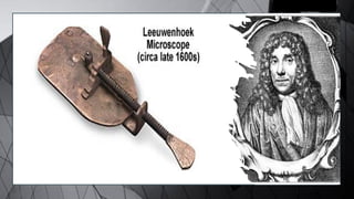 The creation and refinement of magnifying lenses and light microscopes ...