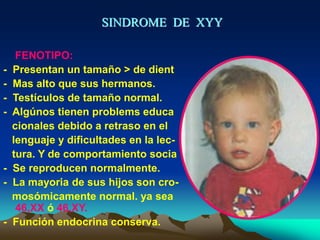 SINDROME DE XYY
FENOTIPO:
- Presentan un tamaño > de dient
- Mas alto que sus hermanos.
- Testículos de tamaño normal.
- Algúnos tienen problems educa
cionales debido a retraso en el
lenguaje y dificultades en la lec-
tura. Y de comportamiento socia
- Se reproducen normalmente.
- La mayoria de sus hijos son cro-
mosómicamente normal. ya sea
46,XX ó 46,XY.
- Función endocrina conserva.
 