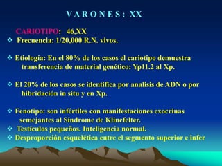 V A R O N E S : XX
CARIOTIPO: 46,XX
 Frecuencia: 1/20,000 R.N. vivos.
 Etiología: En el 80% de los casos el cariotipo demuestra
transferencia de material genético: Yp11.2 al Xp.
 El 20% de los casos se identifica por analisis de ADN o por
hibridación in situ y en Xp.
 Fenotipo: son infértiles con manifestaciones exocrinas
semejantes al Síndrome de Klinefelter.
 Testículos pequeños. Inteligencia normal.
 Desproporción esquelética entre el segmento superior e infer
 