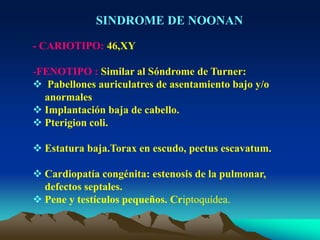 SINDROME DE NOONAN
- CARIOTIPO: 46,XY
-FENOTIPO : Similar al Sóndrome de Turner:
 Pabellones auriculatres de asentamiento bajo y/o
anormales
 Implantación baja de cabello.
 Pterigion coli.
 Estatura baja.Torax en escudo, pectus escavatum.
 Cardiopatía congénita: estenosis de la pulmonar,
defectos septales.
 Pene y testículos pequeños. Criptoquídea.
 