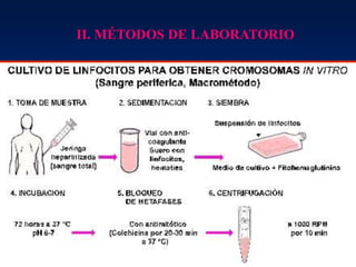II. MÉTODOS DE LABORATORIO
 